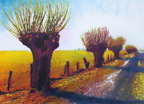 Niederrheinlandschaft-bei-Xanten.jpg