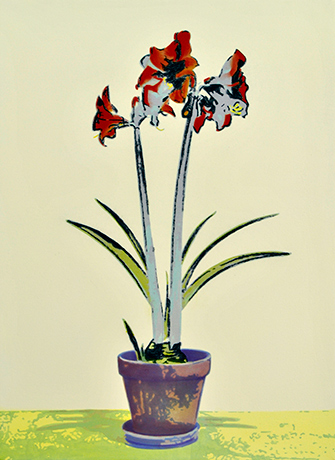 Amaryllis.jpg