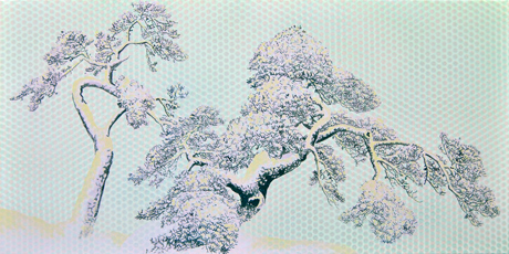 Okoyo-Schneekiefern-II-web.jpg