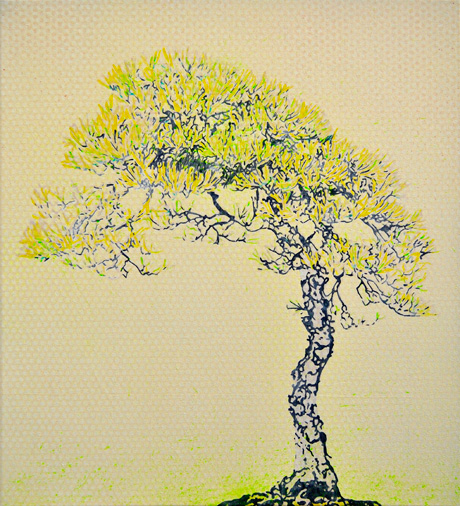 Goyo-matsu-02-web.jpg