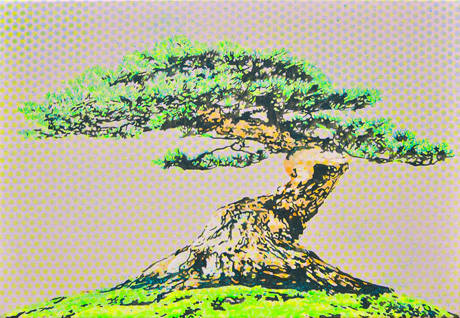 Goyo-matsu-01-web.jpg