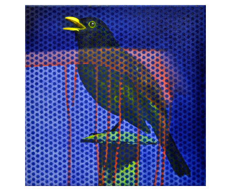 BLACKBIRD-II-X_web.jpg